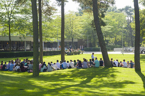 Groep studenten zittend op grasveld Campus Tilburg University.