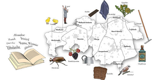 Illustratie kaart met Brabantse dialecten. Ontwerper: Dijkmeijer-Information-design